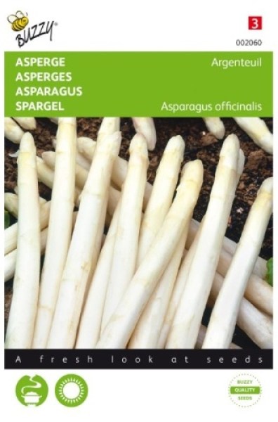 002060 spargla Early of Argenteuil3